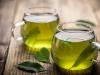 Зеленый чай при гастрите: за и против